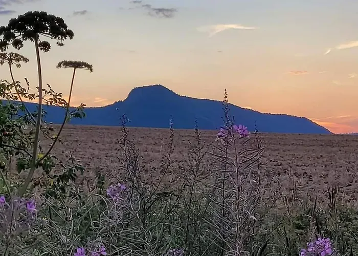 Letniskowe Przy Straznicy Holiday home